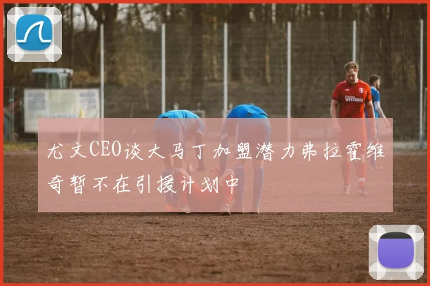 尤文CEO谈大马丁加盟潜力弗拉霍维奇暂不在引援计划中